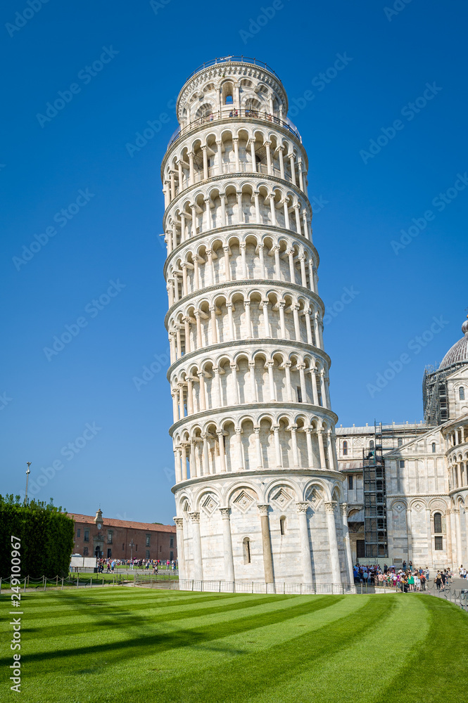 Vertical view of Pisa Tower ang bright green field near it. Toscana attractions, Italy