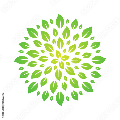 illustration of a tree crown, a circle of leaves