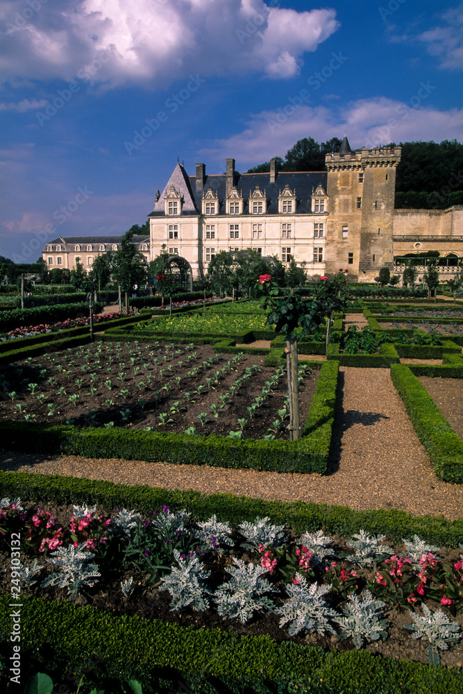 Chateau, jardins, Villandry, 37,  Indre et Loire