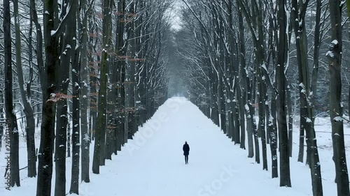 Aerial drone view of girl walking alone in snow covered forest. photo