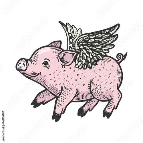 Angel flying baby little piggy color sketch engraving vector illustration. Scratch board style imitation. Black and white hand drawn image.