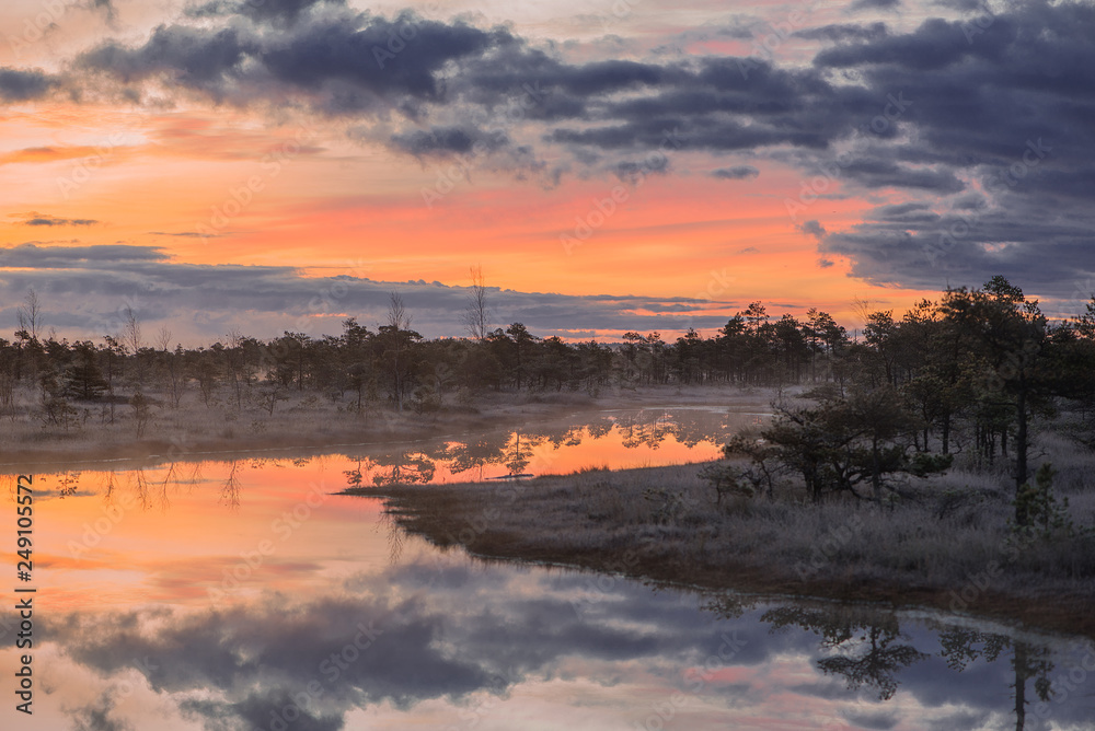 Rising fog on a colorful and calm evening in a swamp of Kemeri National Park in Latvia - Image