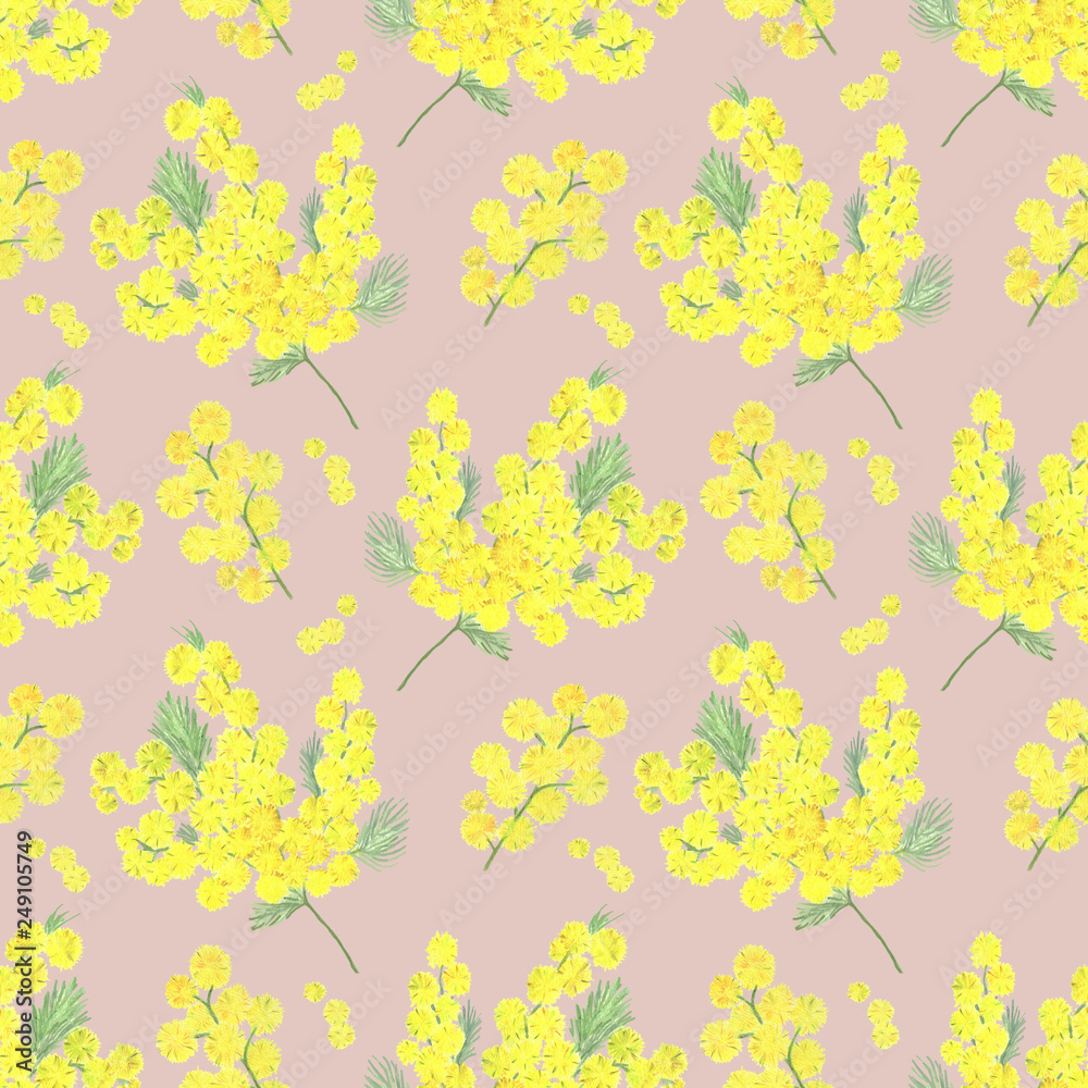 Obraz premium Mimosa flower seamless pattern