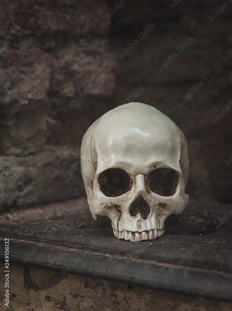 Human skull on the old abandoned building