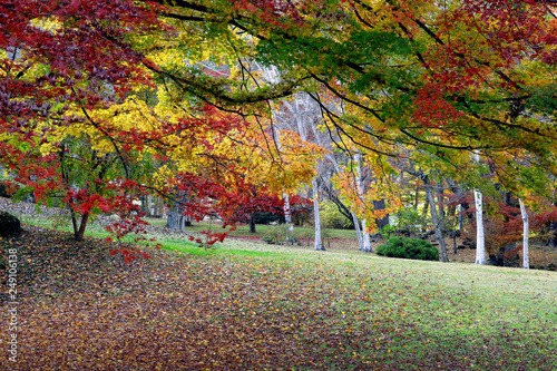 Wallpaper Mural 秋の庭園風景 Torontodigital.ca