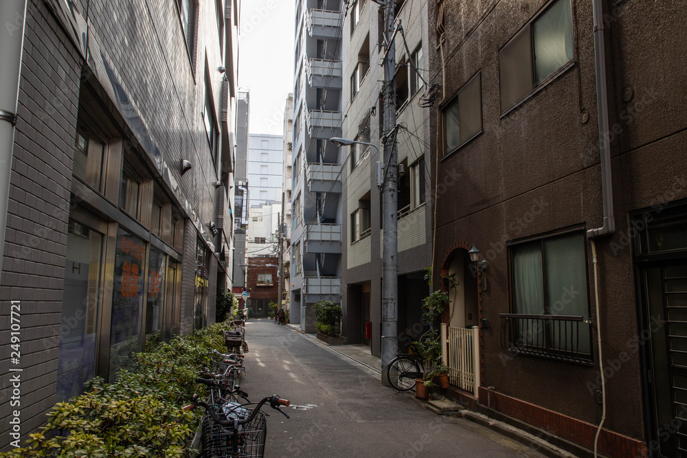 Fototapeta premium 台東区の道路