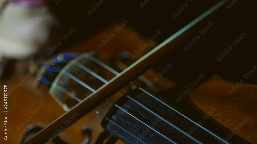 beautiful young girl playing the violin during the concert beautiful young girl playing the violin during the concert