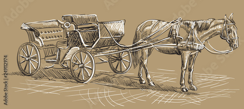 Brown horse with carriage