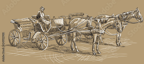 Brown horse with carriage2