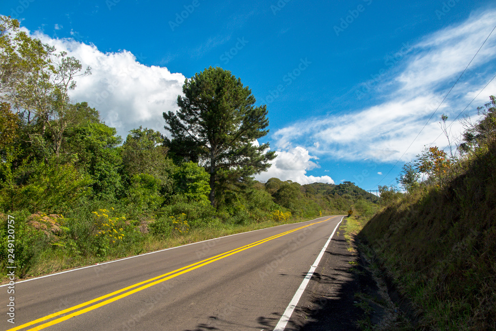 New asphalt road with forest on the sides and blue sky with few clouds, Urubici, Santa Catatarina New asphalt road with forest on the sides and blue sky with few clouds, Urubici, Santa Catatarina