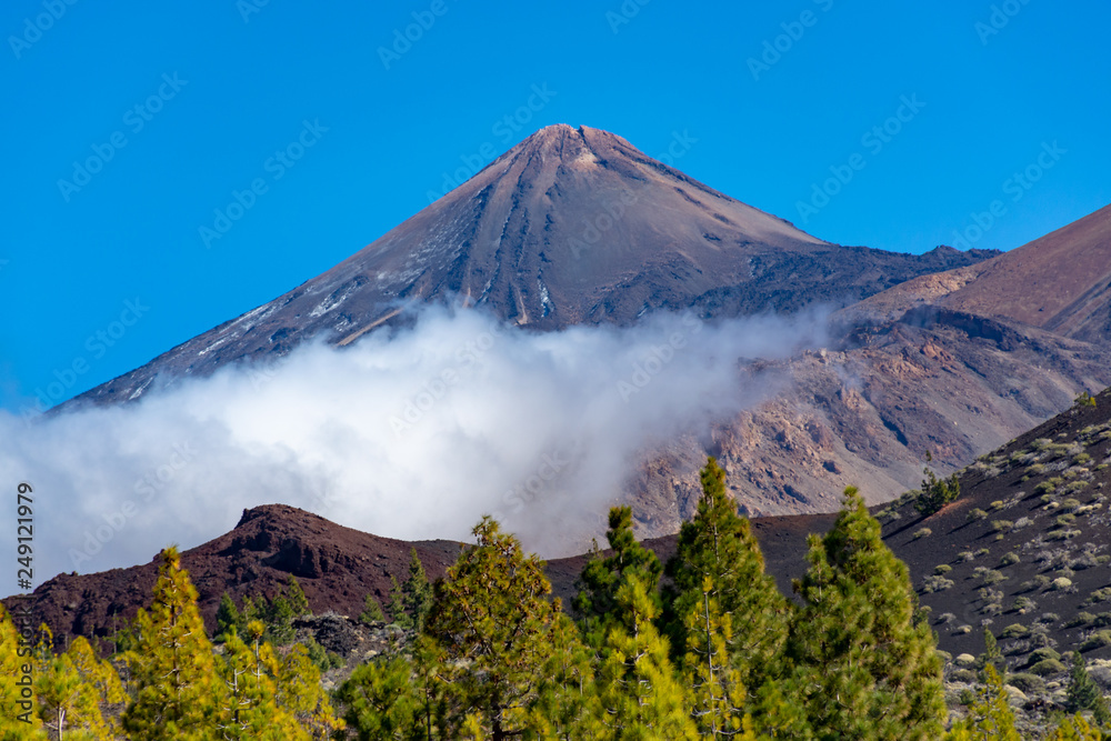 Green Canarian pine forest and volcanic lava fields on highest mountain in Spain Mount Teide, Tenetife, Canary Island, Spain