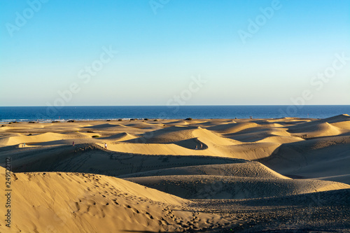 Landscape with yellow sandy dunes of Maspalomas and blue Atlantic ocean  Gran Canaria  Spain