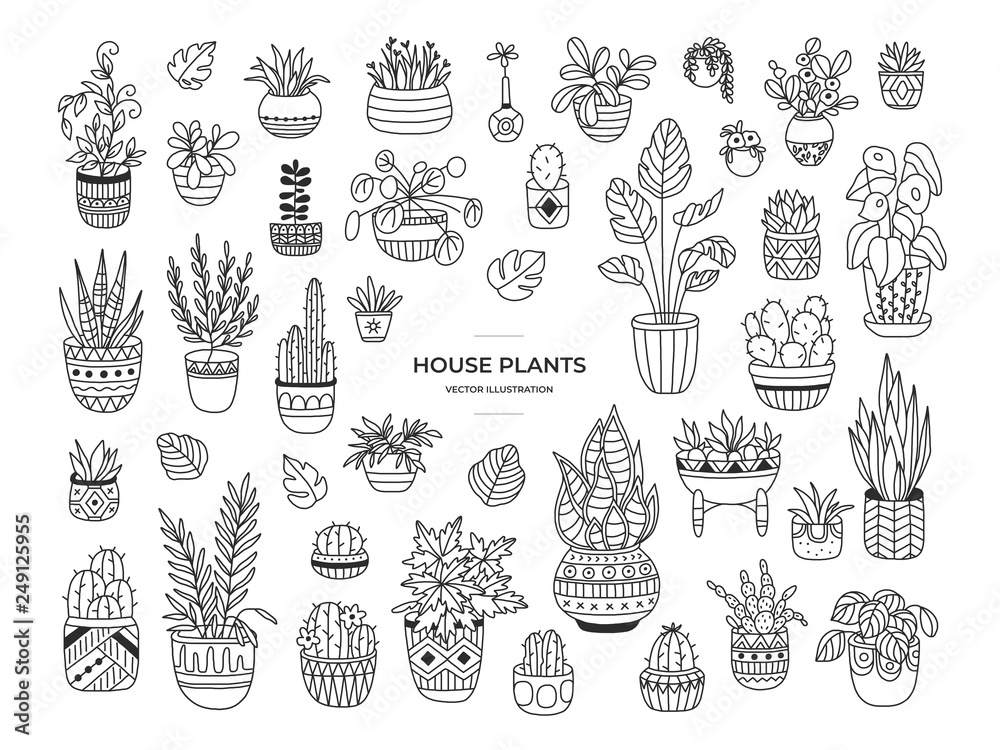 House plants hand drawn illustration set