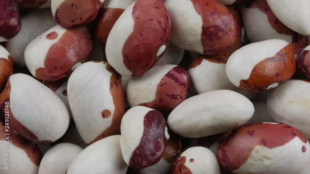 Colorful bean seed were produced under organic condition.