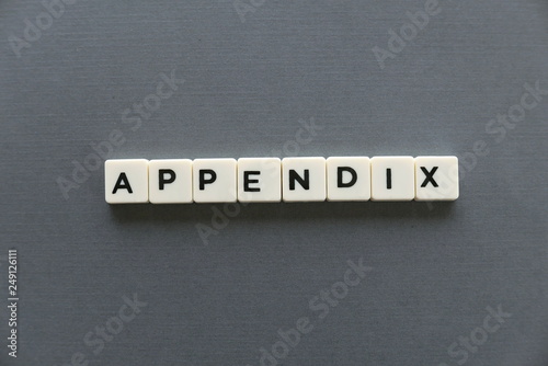 Appendix word made of square letter word on grey background.