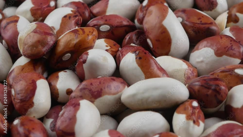 Colorful bean seed were produced under organic condition.