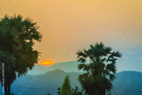 Silhouette of sugar palm trees after sunset, with colorful sky and mountain background. Silhouette palm tree on sunrise with colorful twilight sky on the mountain.