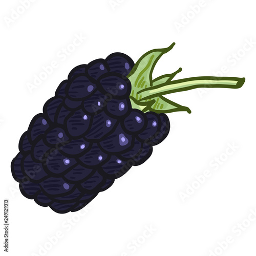 Vector Single Cartoon Blackberry