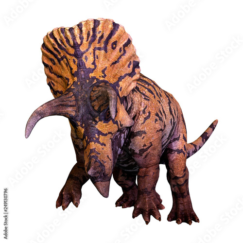 3D Rendering Dinosaur Triceratops  on White