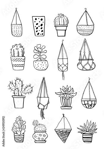 Cactus and succulent plants in different flowerpots. Vector hand drawn outline black and white sketch illustration
