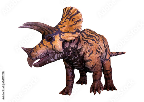 3D Rendering Dinosaur Triceratops on White