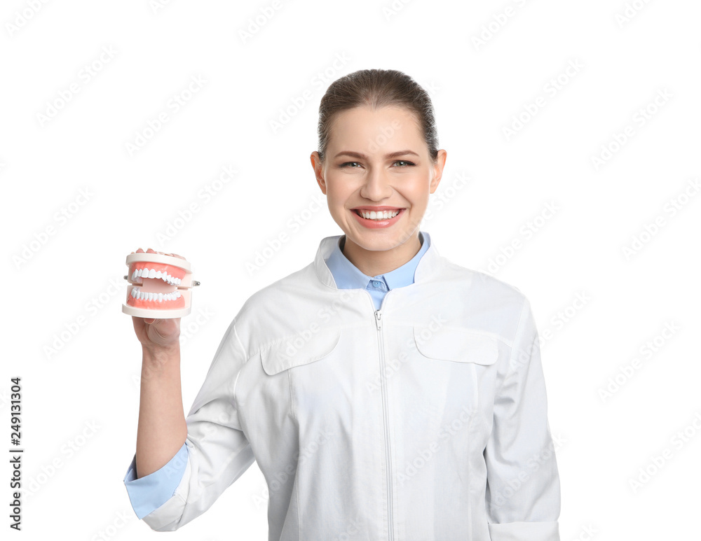 Female dentist holding jaws model on white background Female dentist holding jaws model on white background