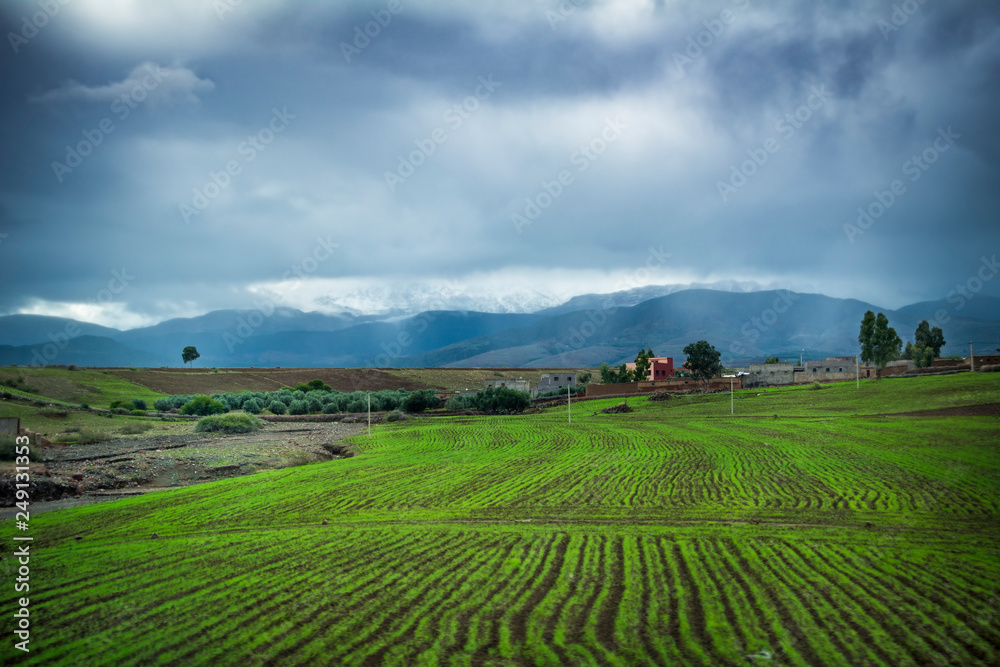 Green fields in foothills of the Atlas Mountains in Morocco