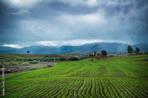 Green fields in foothills of the Atlas Mountains in Morocco