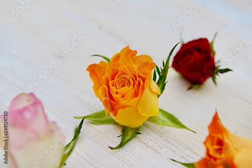 roses decoration