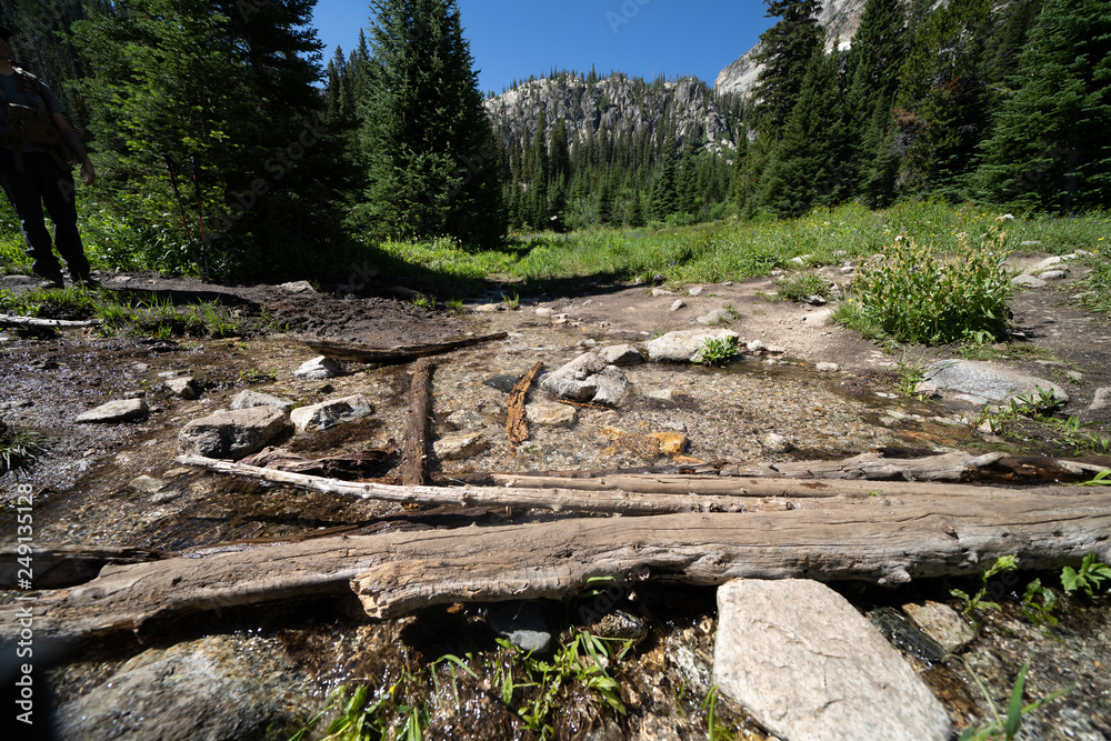 Beautiful scenery along a dirt hiking trail (Iron Creek Trail) leading to Sawtooth Lake in Idaho Beautiful scenery along a dirt hiking trail (Iron Creek Trail) leading to Sawtooth Lake in Idaho