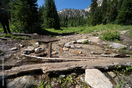 Beautiful scenery along a dirt hiking trail (Iron Creek Trail) leading to Sawtooth Lake in Idaho