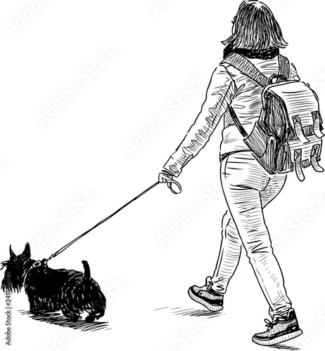 Sketch of a townswoman with her dog going on a stroll