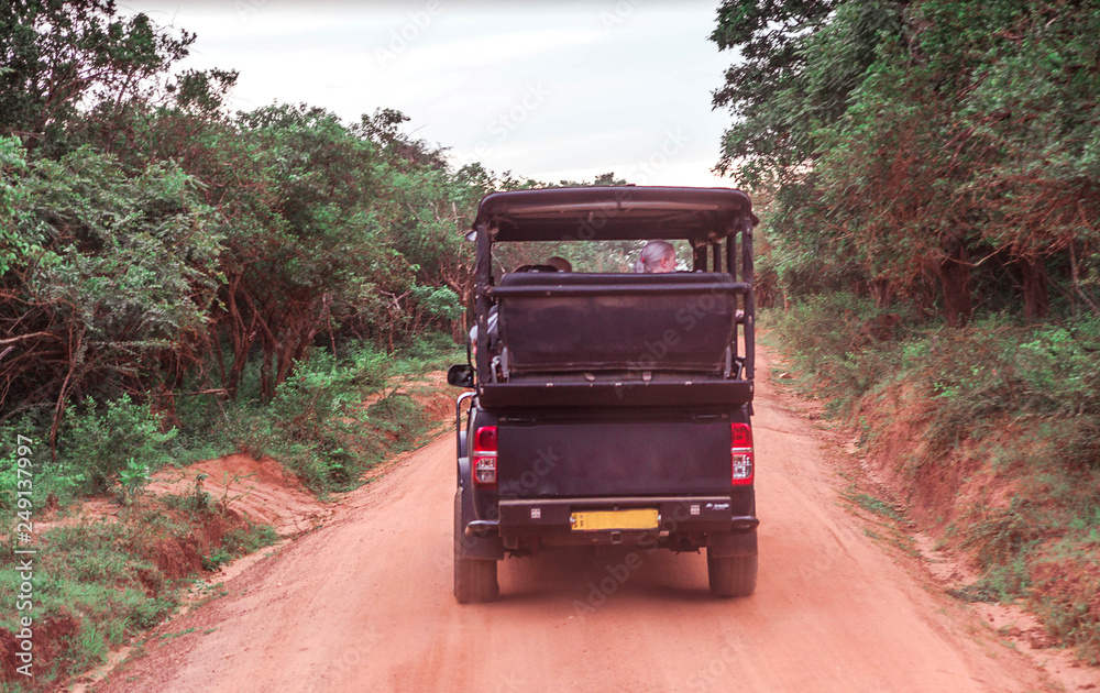  Black Jeep Safari.  Horizontal photo