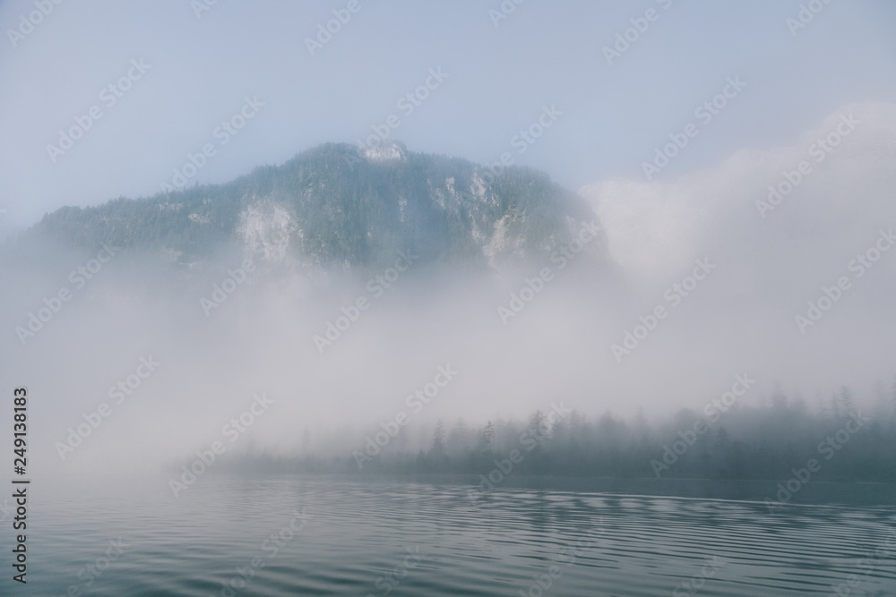 views of forest in the mountain among fog in border of the lake views of forest in the mountain among fog in border of the lake