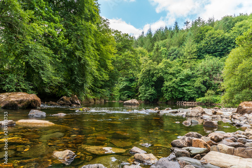 Beautiful summer river hidden in the green forest with fresh crystal clear water and big boulders. Avonmore river in Avondale, Rathdrum, Wicklow, Ireland. photo