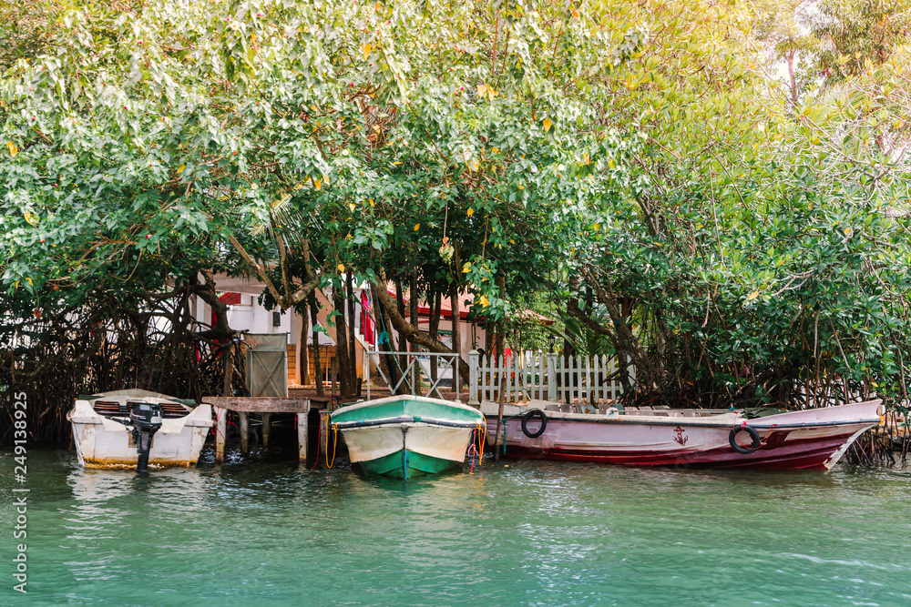 Obraz premium Several boats among the trees