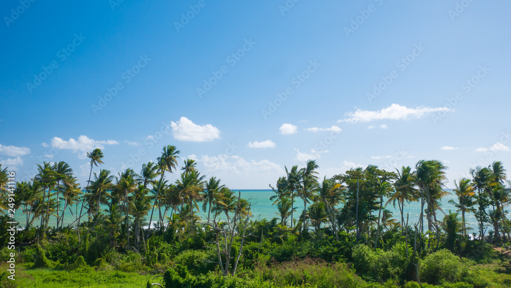 View of the beach from Punta Tuna Wetlands Nature Reserve - Puerto Rico - USA View of the beach from Punta Tuna Wetlands Nature Reserve - Puerto Rico - USA