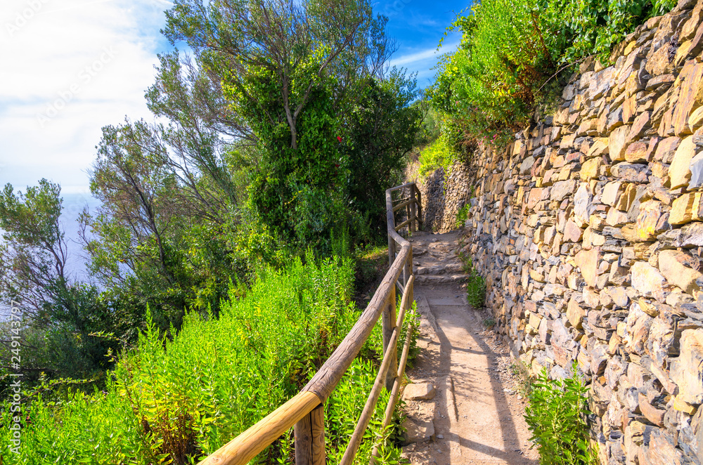 Pedestrian hiking stone path trail with railing between Corniglia and Vernazza villages with green trees, blue sky background, National park Cinque Terre, La Spezia province, Liguria, Italy