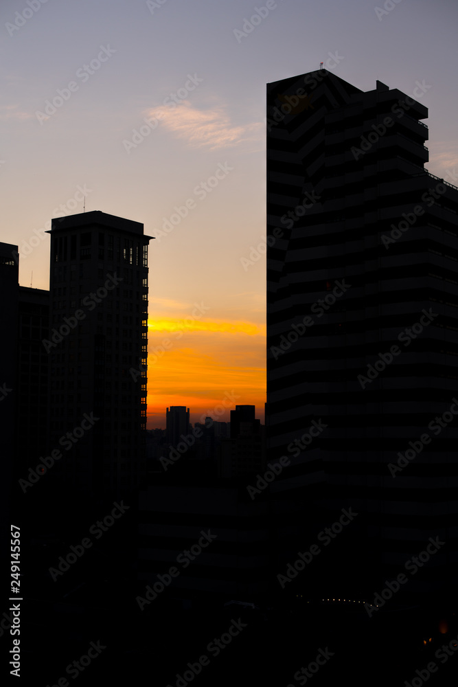 Sao Paulo city silhouette sunset portrait