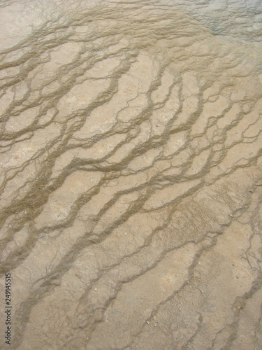 Mammoth Hot Springs in Yellowstone