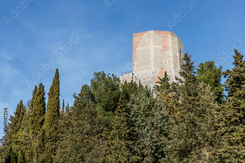 The beautiful Rocca d'Orcia among the ancient trees, Siena, Tuscany, Italy photo