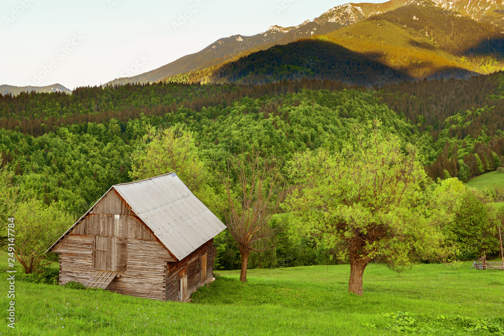 Obraz premium Beautiful landscape