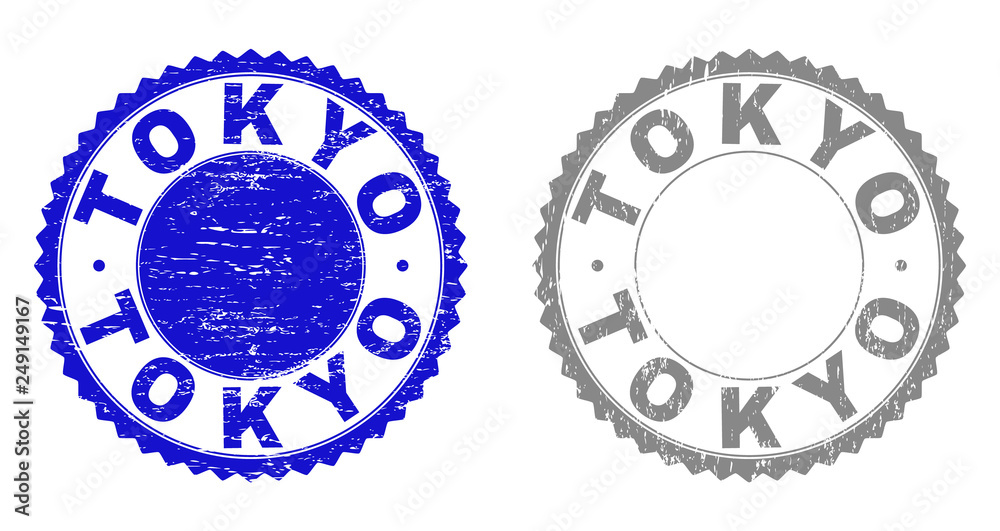 Grunge TOKYO stamp seals isolated on a white background. Rosette seals with grunge texture in blue and gray colors. Vector rubber stamp imitation of TOKYO label inside round rosette. Grunge TOKYO stamp seals isolated on a white background. Rosette seals with grunge texture in blue and gray colors. Vector rubber stamp imitation of TOKYO label inside round rosette.