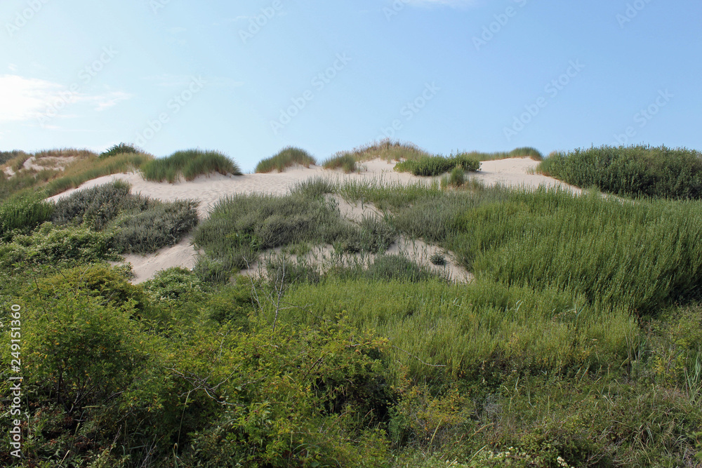 Pas de Calais, dunes de Merlimont 