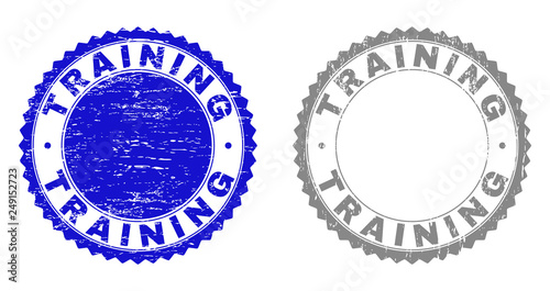 Grunge TRAINING stamp seals isolated on a white background. Rosette seals with distress texture in blue and grey colors. Vector rubber stamp imitation of TRAINING title inside round rosette.