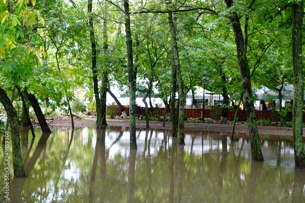 The park after a rain. Huge rain pool. The park after a rain. Huge rain pool.