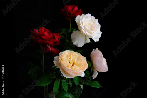 Roses for romantic Valentines Festival