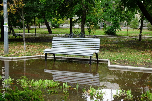 Bench in the park after a rain.