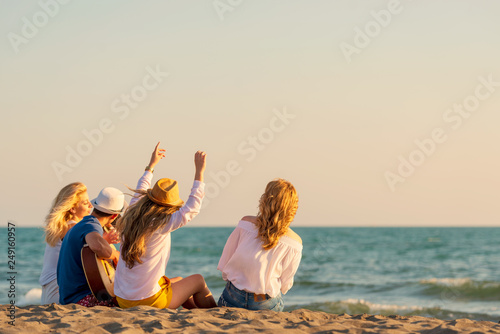 Group of friends on the beach play