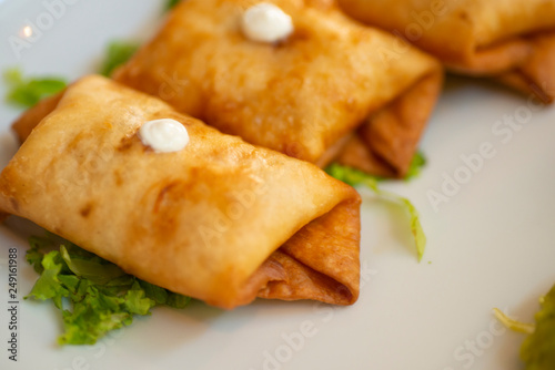 Mexican Chimichanga chivichanga chimmy chonga